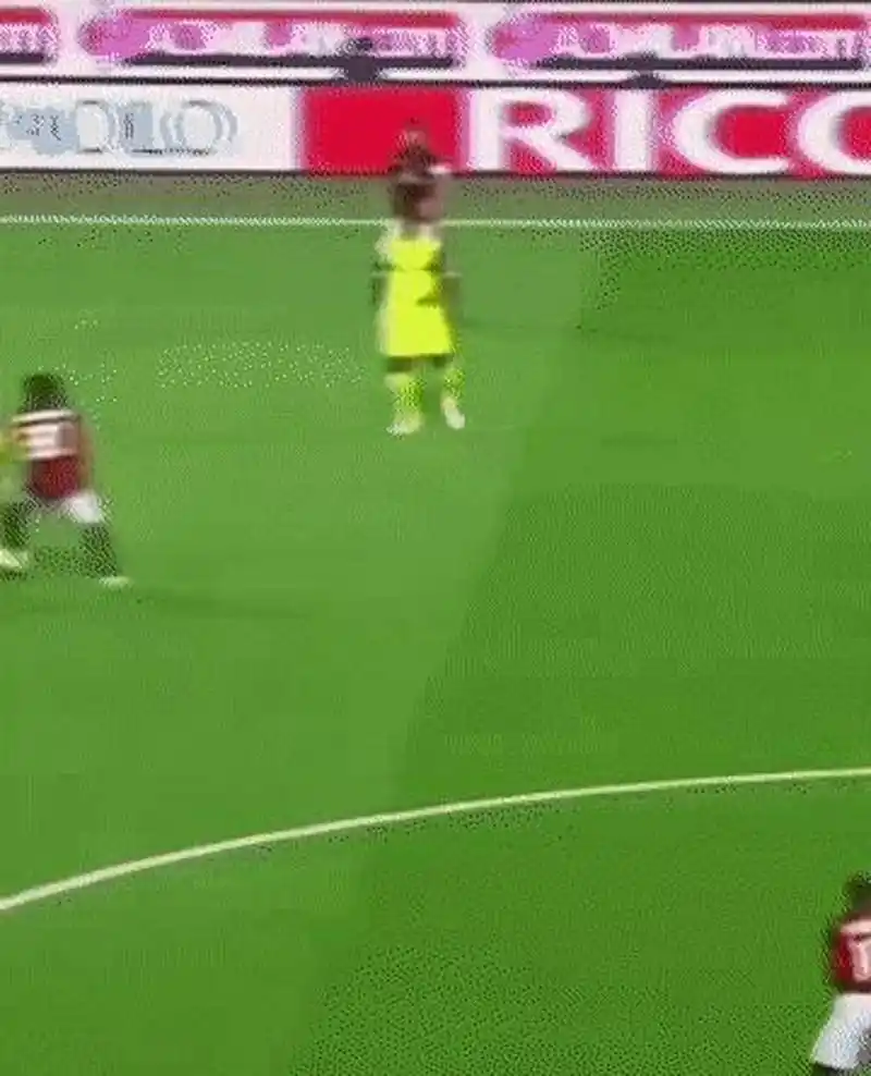 但他们依靠 但他们依靠