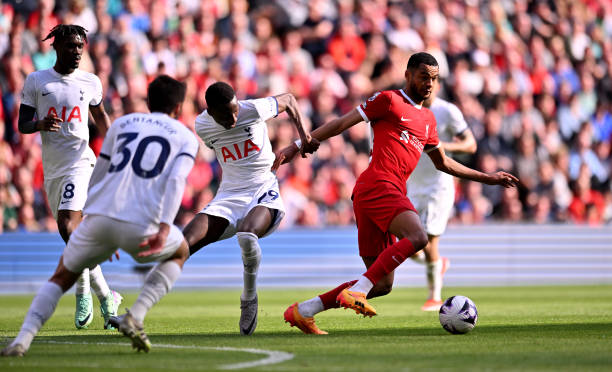 自各方面的 自各方面的